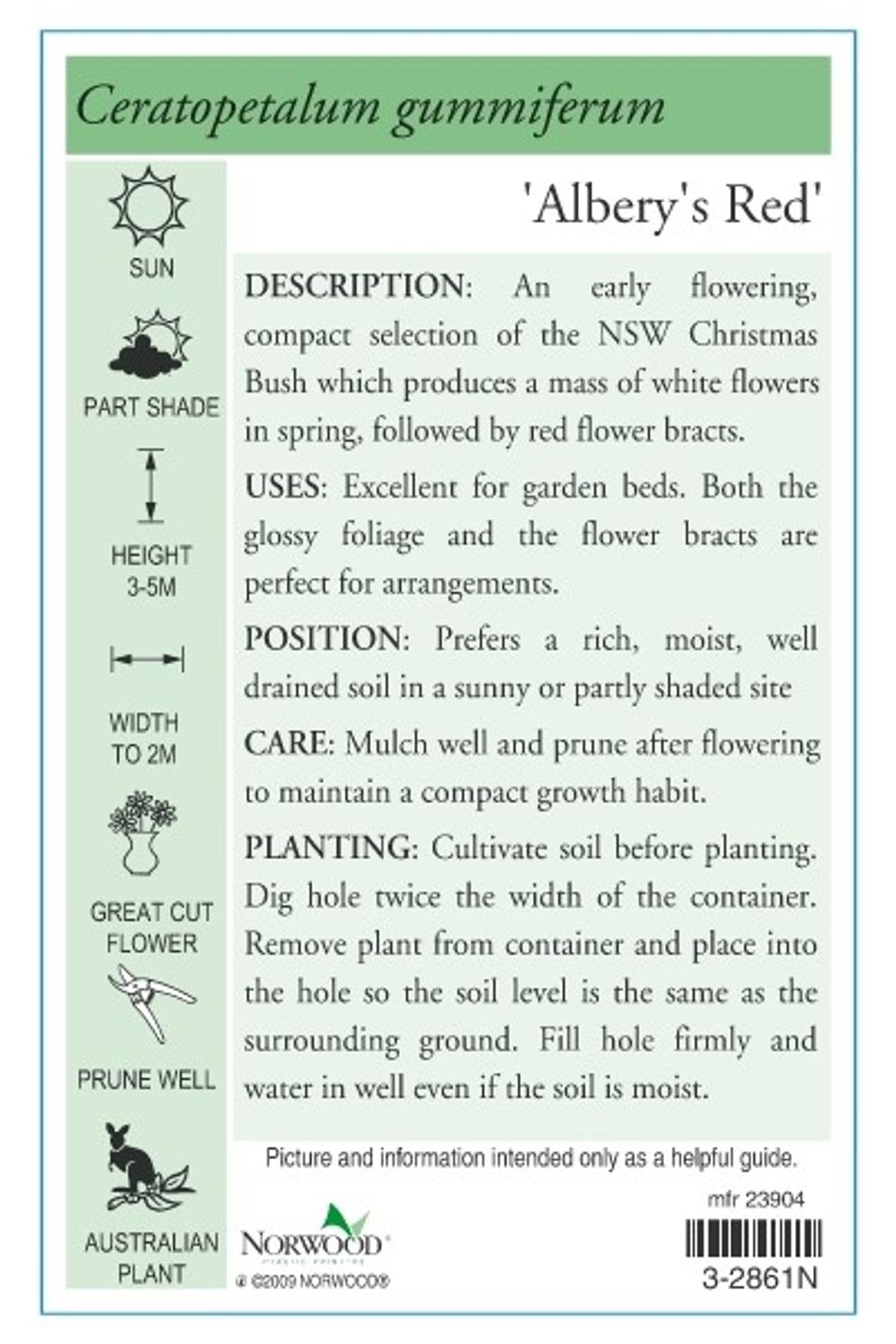 Domus Nursery - West Australian Plant Wholesaler