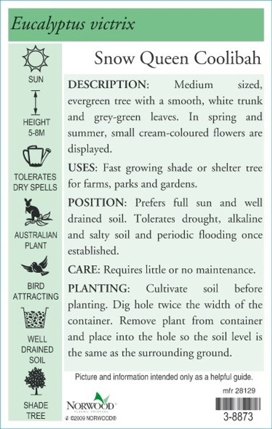 Domus Nursery - West Australian Plant Wholesaler