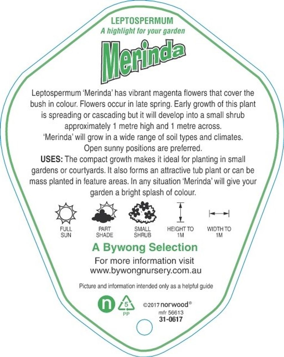 Domus Nursery - West Australian Plant Wholesaler