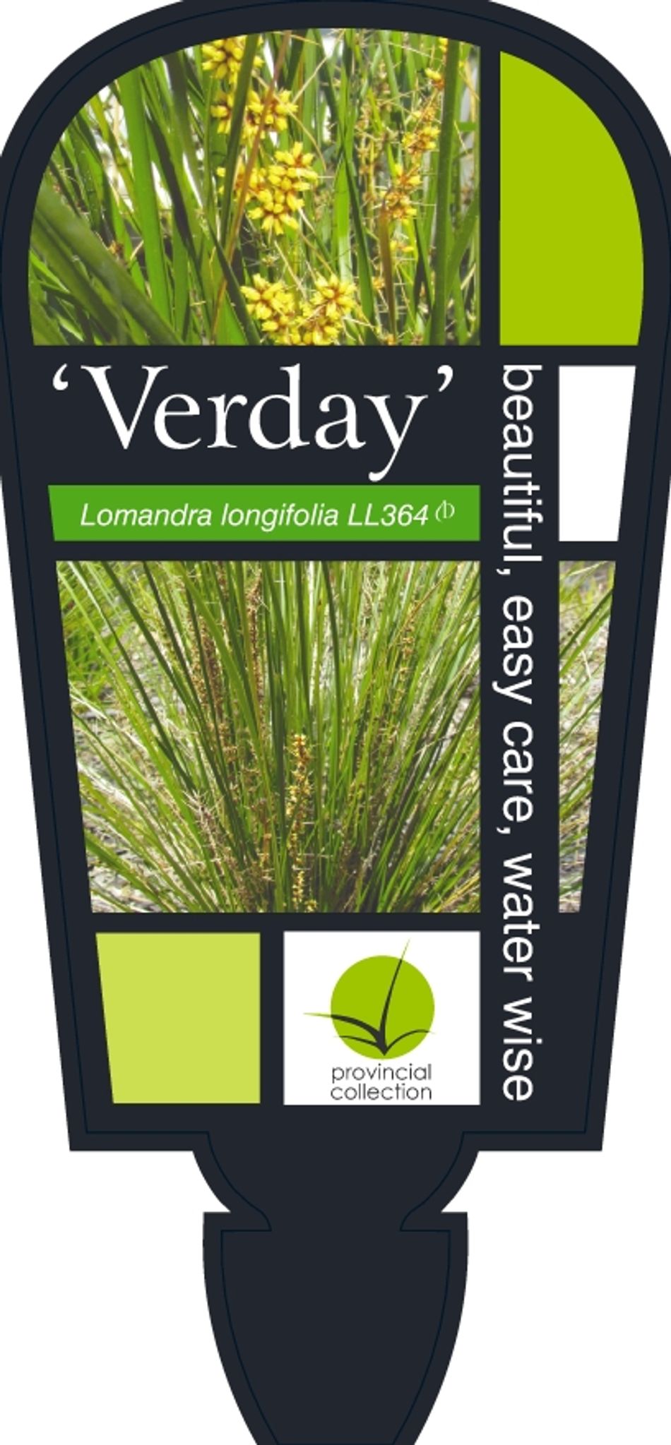 Domus Nursery - West Australian Plant Wholesaler